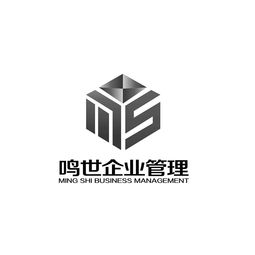 深圳鸣世企业管理咨询有限责任公司 赋能企业高效成长的管理咨询专家
